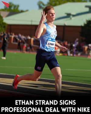 Image post by @dyestat on Instagram
