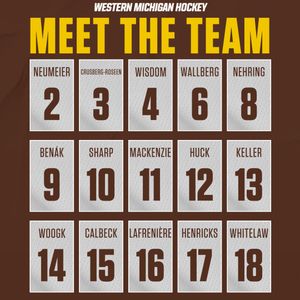 Image post by @wmu_hockey on Instagram