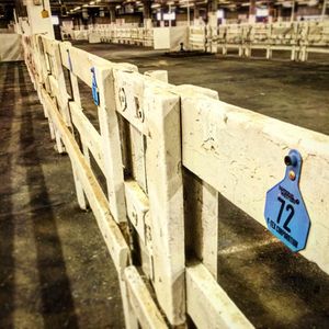 Image post by @nationalwestern on Instagram