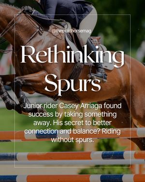 Image post by @theplaidhorsemag on Instagram