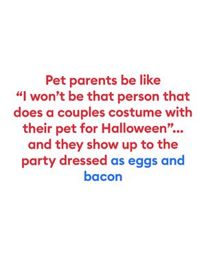 Image post by @petsmart on Instagram