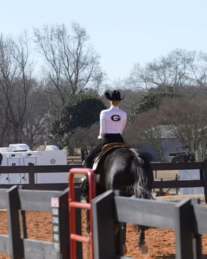 Image post by @ugaequestrian on Instagram