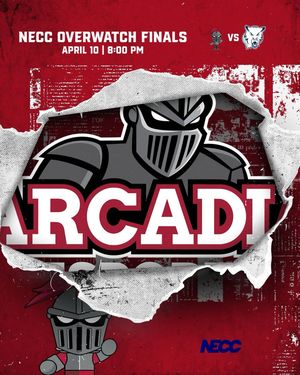 Image post by @arcadia_knights on Instagram
