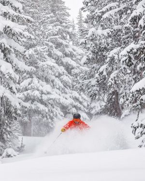 Image post by @skicrestedbutte on Instagram