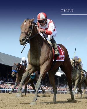 Image post by @coolmoreamerica on Instagram