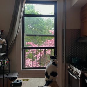 Image post by @elizamclamb on Instagram