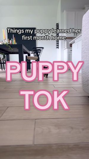 Video post by @maibrantesq on TikTok