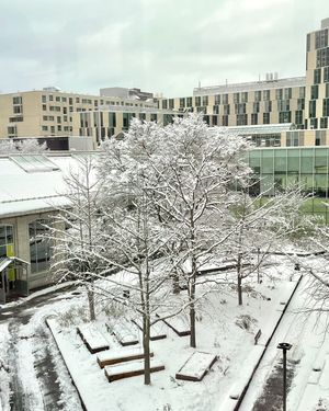 Image post by @uqam on Instagram