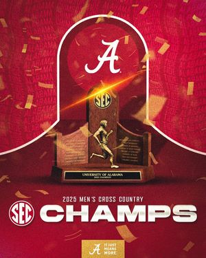 Image post by @sec on Instagram