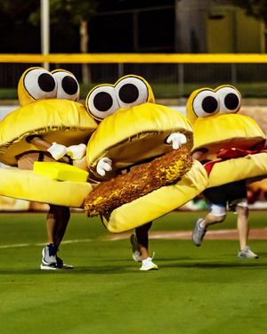 Image post by @biscuitbaseball on Instagram