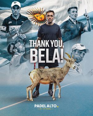 Image post by @padelalto on Instagram