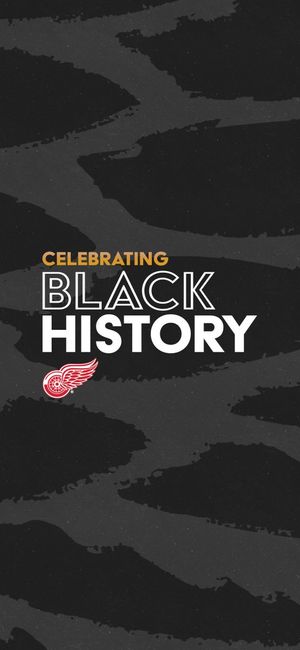 Image post by @DetroitRedWings on Twitter