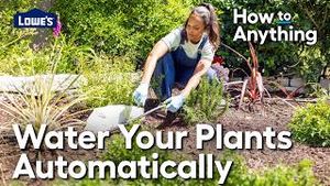 Video post by @Lowe's Home Improvement on YouTube