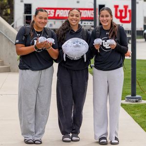 Image post by @utahsoftball on Instagram