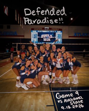 Image post by @fauvolleyball on Instagram