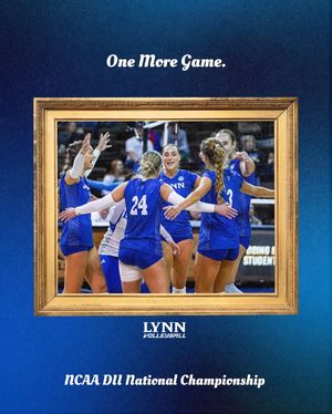 Image post by @lynnvolleyball on Instagram