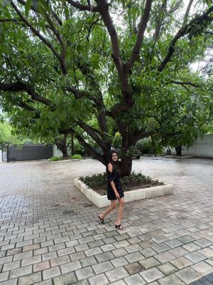Image post by @pearlresortsilvassa on Instagram