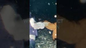 Video post by @fearlessrecords on YouTube