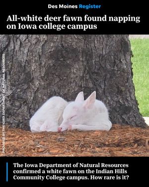 Image post by @dmregister on Instagram