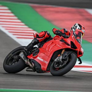 Image post by @panigalers on Instagram