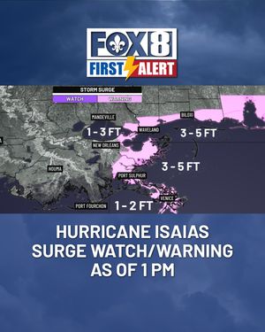 Image post by @fox8nola on Instagram