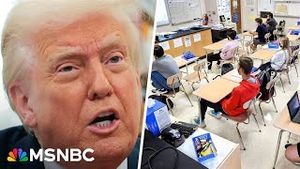 Video post by @msnbc on YouTube