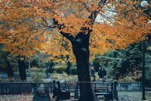 Image post by @tehran_university on Instagram