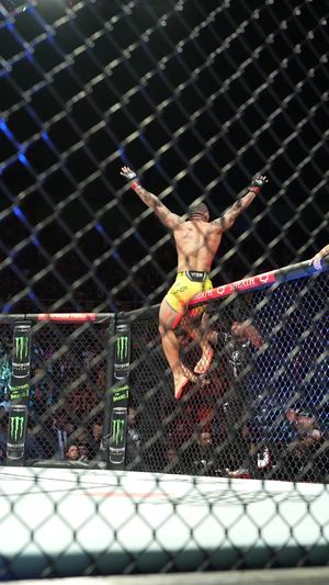 Video post by @ufc on TikTok