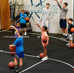 Image post by @acceleratebball on Instagram