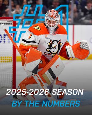 Image post by @truetempergoalie on Instagram