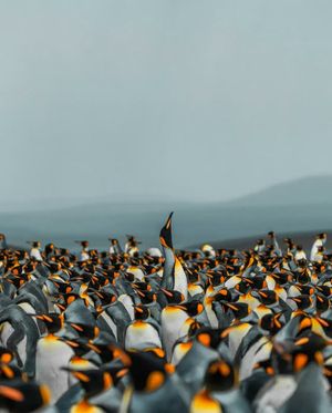 Image post by @unsplash on Instagram