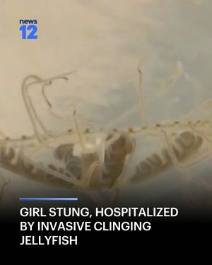Image post by @news12nj on Instagram