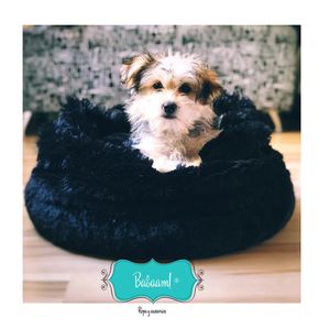 Image post by @babaamstore on Instagram