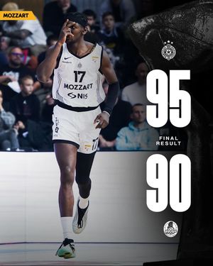 Image post by @partizanbc on Instagram
