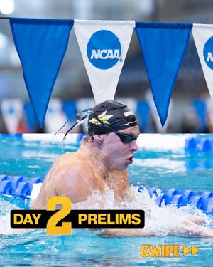 Image post by @sundevilswimdive on Instagram