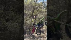 Video post by @carsonbrown910 on YouTube