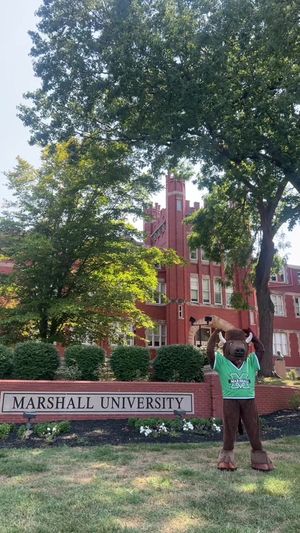 Video post by @marshallufamily on TikTok