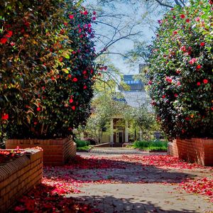 Image post by @ncstatecals on Instagram