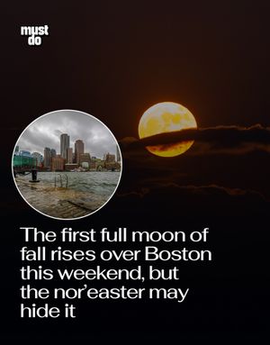 Image post by @mustdoboston on Instagram