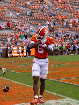 Image post by @cutigervision on Instagram