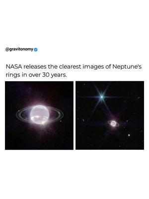 Image post by @gravitonomy on Instagram