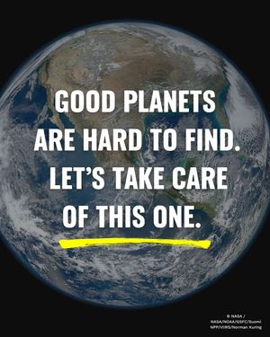 Image post by @greenpeace on Instagram