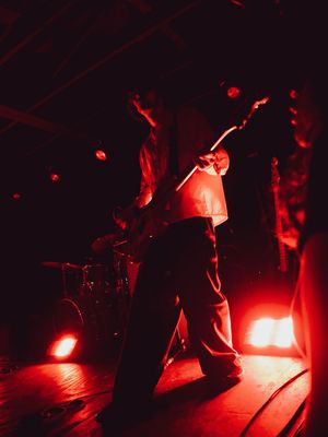 Image post by @aplrmedia on Instagram