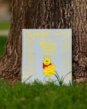 Image post by @disneybooks on Instagram