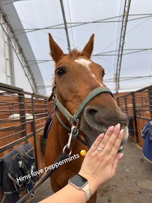 Video post by @kate.cassaidy on TikTok