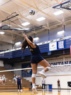 Image post by @msubobcatsvb on Instagram