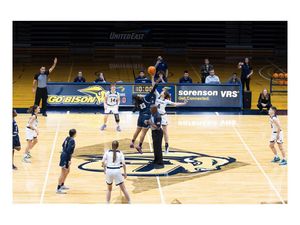 Image post by @sabinashyshphoto on Instagram