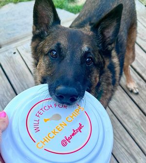 Image post by @farmtopet on Instagram