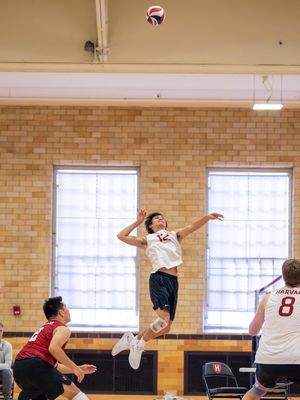 Image post by @harvardmvball on Instagram