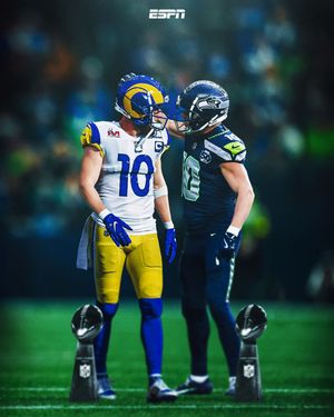 Image post by @espnnfl on Instagram